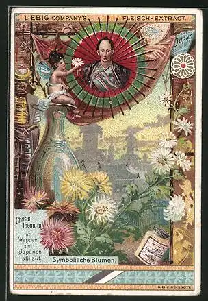Sammelbild Liebig`s Fleisch-Extract und -Pepton, Symbolische Blumen, Chrisanthemum