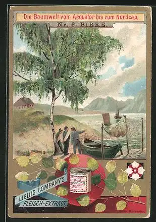 Sammelbild Liebig`s Fleisch-Extract und -Pepton, die Baumwelt von Aequator bis zum Nordcap, am ufer