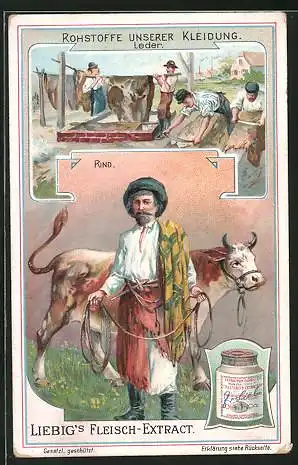 Sammelbild Liebig`s Fleisch-Extract und -Pepton, Rohstoffe unserer Kleidung, Rind und Gerben des Leders