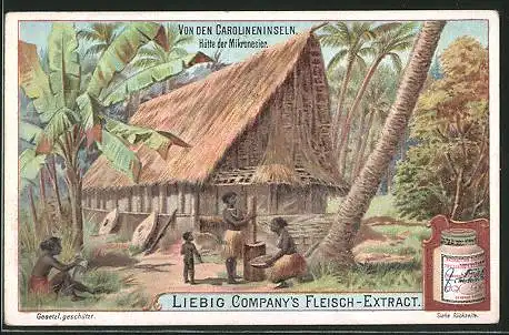 Sammelbild Liebig`s Fleisch-Extract und -Pepton, Carolineninseln, Hütte der Mikronesier