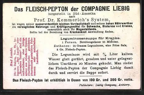 Sammelbild Liebig`s Fleisch-Extract und -Pepton, Bad Lands, Wanderer blicken ins Tal und auf die Gipfel