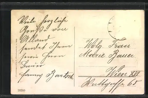 AK Alland, Partie an der Heilanstalt