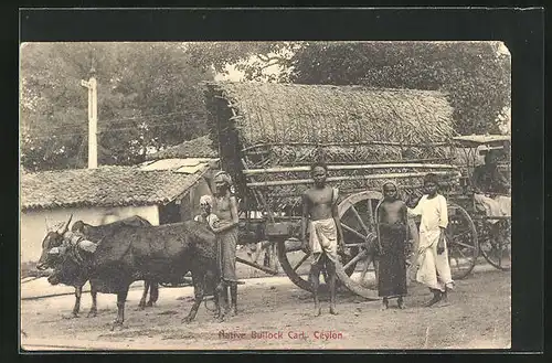 AK Ceylon, Native Bullock Cart, Gruppe von Männern vor Ochsengespann