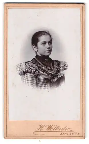 Fotografie H. Walbrecker, Zittau i. S., Breite Str. 9, Portrait dunkelhaariges hübsches Fräulein in kariertem Kleid
