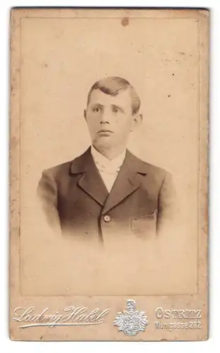 Fotografie Ludwig Habel, Ostritz, Mühlgasse 262, Portrait junger charmanter Mann mit Fliege im Jackett