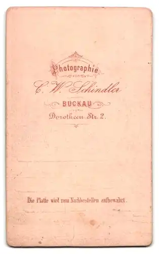 Fotografie C. W. Schindler, Buckau, Dorotheenstr. 2, Portrait bildschönes Fräulein mit Flechtdutt