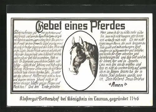 AK Königstein / Taunus, Klostergut Rettershof, Gebet eines Pferdes, Portrait