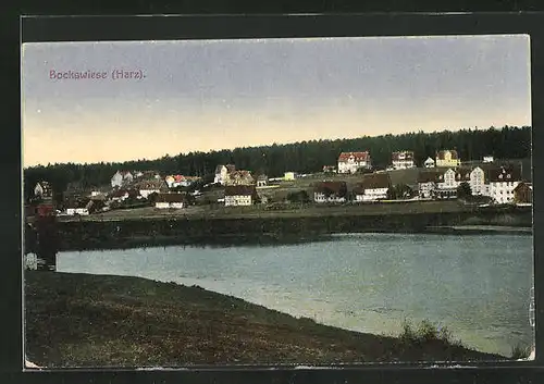 AK Bockswiese / Harz, Blick über den Fluss