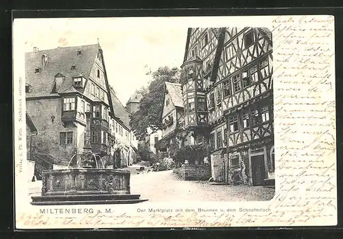 AK Miltenberg a.M., Marktplatz mit Brunnen und Schnatterloch