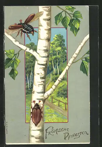 AK krabbelnder und fliegender Maikäfer an einem Baumstamm, Landschaftsbild im Hintergrund