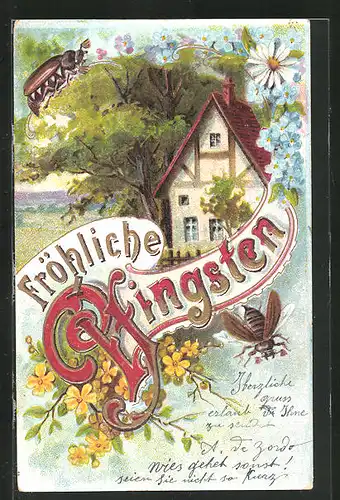 Präge-AK Fröhliche Pfingsten, Haus und Maikäfer