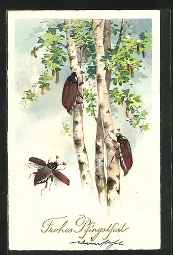 AK fliegende und krabbelnde Maikäfer an einem Baum