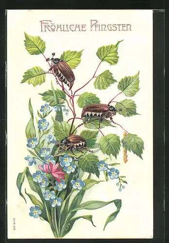 AK Maikäfer krabbeln auf einem Blätter- und Blütenstrauss
