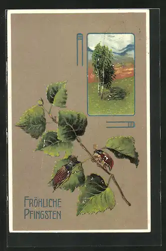 Präge-AK landschaftsidylle, krabbelnde Maikäfer auf einem Blätterzweig