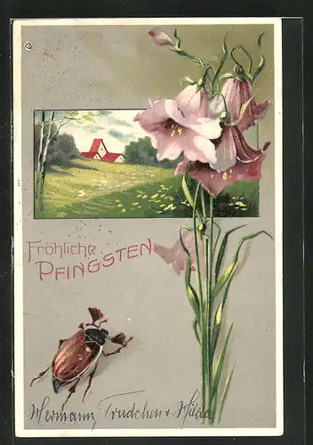 Präge-AK Maikäfer, Blumenzweig und Landschaftsbild