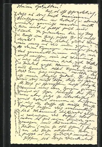 AK krabbelnde Maikäfer auf einem Blätterzweig