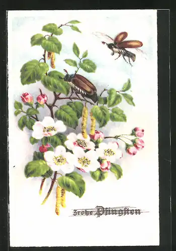 AK hübscher Frühlingsblumenstrauss mit krabbelndem und fliegendem Maikäfer