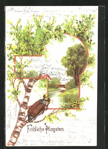 AK Maikäfer blickt vom Baum auf ein Landschaftsbild im Rahmen