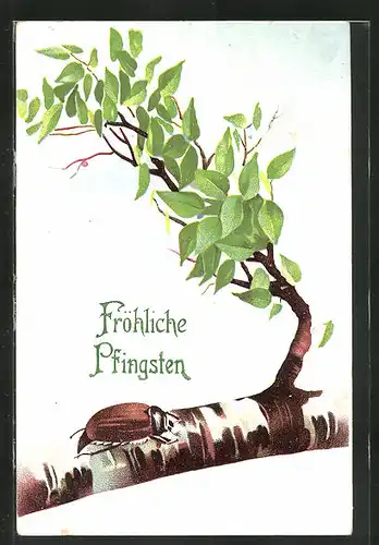 AK Maikäfer krabbelt auf einem Ast, Fröhliche Pfingsten