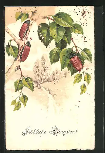 AK krabbelnde Maikäfer an einem Baum mit Blätterzweigen