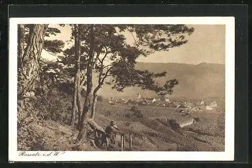 AK Rossatz i. d. W., Panoramablick vom Berg