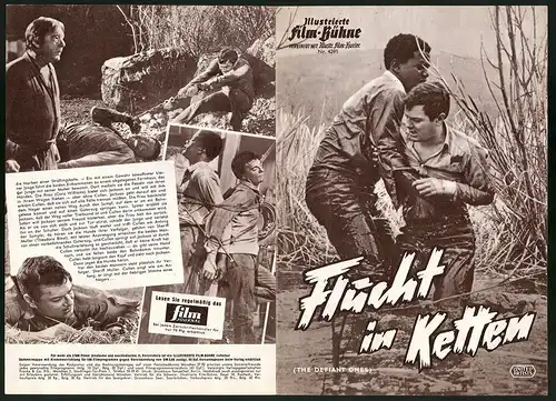 Filmprogramm IFB Nr. 4391, Flucht in Ketten, Tony Curtis, Sidney Poitier, Regie: Stanley Kramer