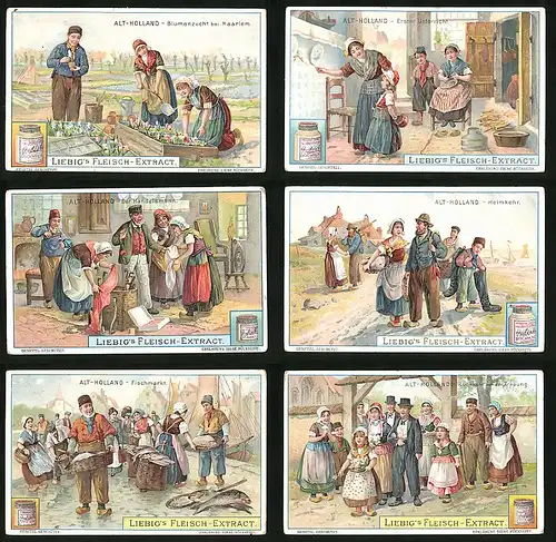 6 Sammelbilder Liebig, Serie Nr. 857: Alt-Holland, Rückkehr von der Trauung, Fischmarkt, Blumenzucht bei Haarlem