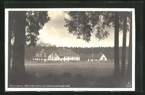 AK Grünwald, Blick zum Forsthaus Wörnbrunn