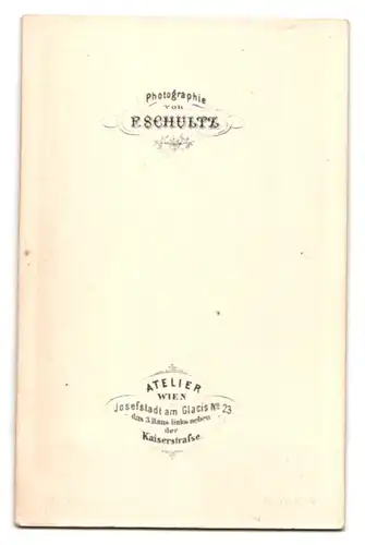 Fotografie F. Schultz, Wien-Josefstadt, Glacis No. 23, feiner Herr im Anzug mit Oberlippenbart