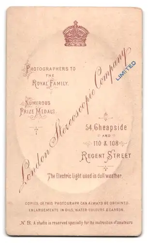 Fotografie Stereoscopic Company, London, 110 & 108, Regent Street, Brustportrait älterer Herr im Anzug mit Vollbart