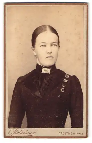 Fotografie Carl Stattechner, Trostberg a. Alz., Portrait Dame im Kleid mit Brosche