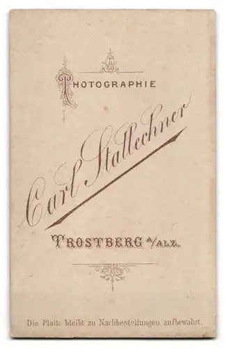 Fotografie Carl Stattechner, Trostberg a. Alz., Portrait Dame im Kleid mit Brosche