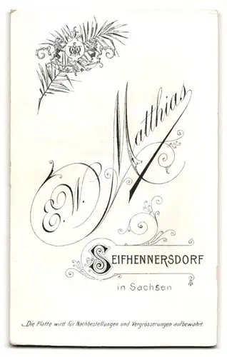 Fotografie E. W. Matthias, Seifhennersdorf, Portrait junge Frau im Biedermeierkleid mit Locken