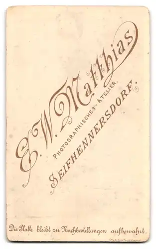 Fotografie E. W. Matthias, Seifhennersdorf, Portrait ältere Dame im Kleid mit Ohrringen