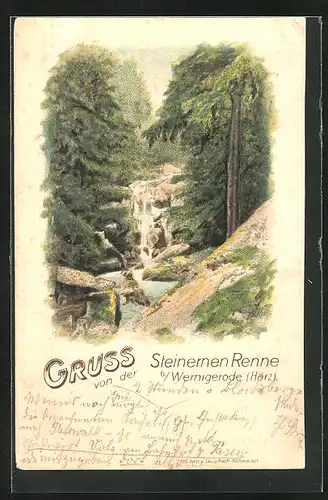 Lithographie Wernigerode /Harz, Steinerne Renne