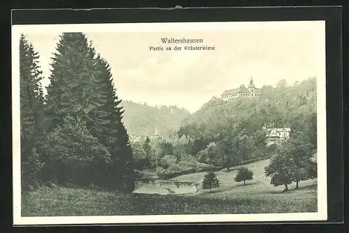 AK Waltershausen, Partie an der Kräuterwiese