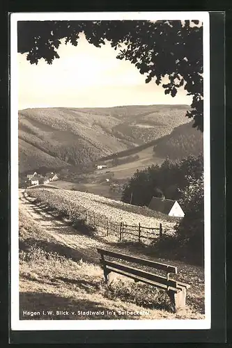 AK Hagen i. W., Blick vom Stadtwald in`s Selbecketal