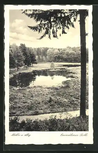 AK Mölln i. Lbg., Grundloser Kolk