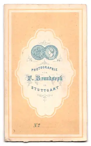 Fotografie F. Brandseph, Stuttgart, Junge Dame in geknöpftem Kleid mit Buch