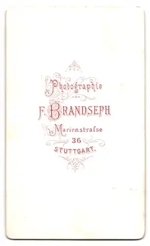 Fotografie F. Brandseph, Stuttgart, Marienstrasse 36, Seitenprofil einer jungen Dame mit aufwendiger Frisur