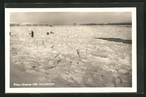 AK Wien-Nussdorf, Eisstoss