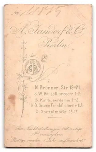 Fotografie R. Jansdorf & Co., Berlin, N. Brunnen-Str. 19-12, Portrait Mädchen Ella im weissen Kleid mit Locken