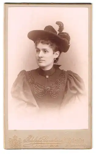 Fotografie Adolph Steenhardt, Berlin, Taubenstr. 20, Portrait Dame im besetzten Kleid mit breitem Hut