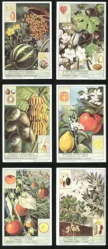 6 Sammelbilder Liebig, Serie Nr. 1537: Fruits Exotiques, L`Arachide, L`Olive, Le Kaki, L`Ananas, L`Orange, Le Citron