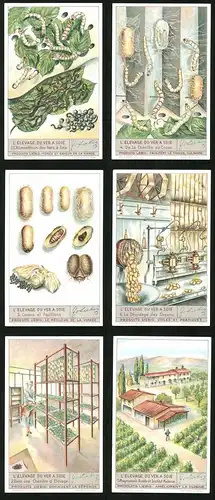 6 Sammelbilder Liebig, Serie Nr. 1370: L`Elevage du ver a Soie, Magnanerie Rurale et Institut Moderne