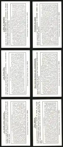 6 Sammelbilder Liebig, Serie Nr. 1370: L`Elevage du ver a Soie, Magnanerie Rurale et Institut Moderne