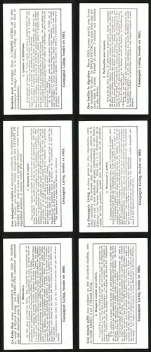 6 Sammelbilder Liebig, Serie Nr. 1379: Gros outillage de l`Entperpeneur Moderne, Drague á succion avec cutters