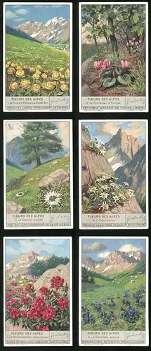 6 Sammelbilder Liebig, Serie Nr. 1335: Fleurs des Alpes, La Gentiane acaule, L`Edelweiss, La Carline acaule