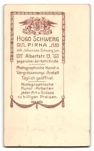 Fotografie Hugo Schwerg, Pirna, Albertstr. 13, stolzer Knabe im Matrosenanzug