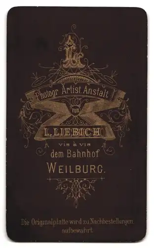 Fotografie L. Liebich, Weilburg, Baby auf Sessel sitzend